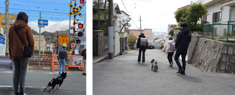 犬の散歩をしながら地域を見守る『わんわん見守り隊』プロジェクトのイメージ画像