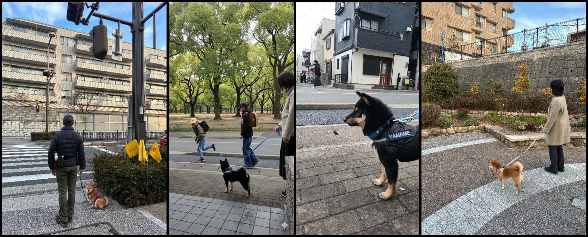 わんわん見守り隊プロジェクト トップ画像