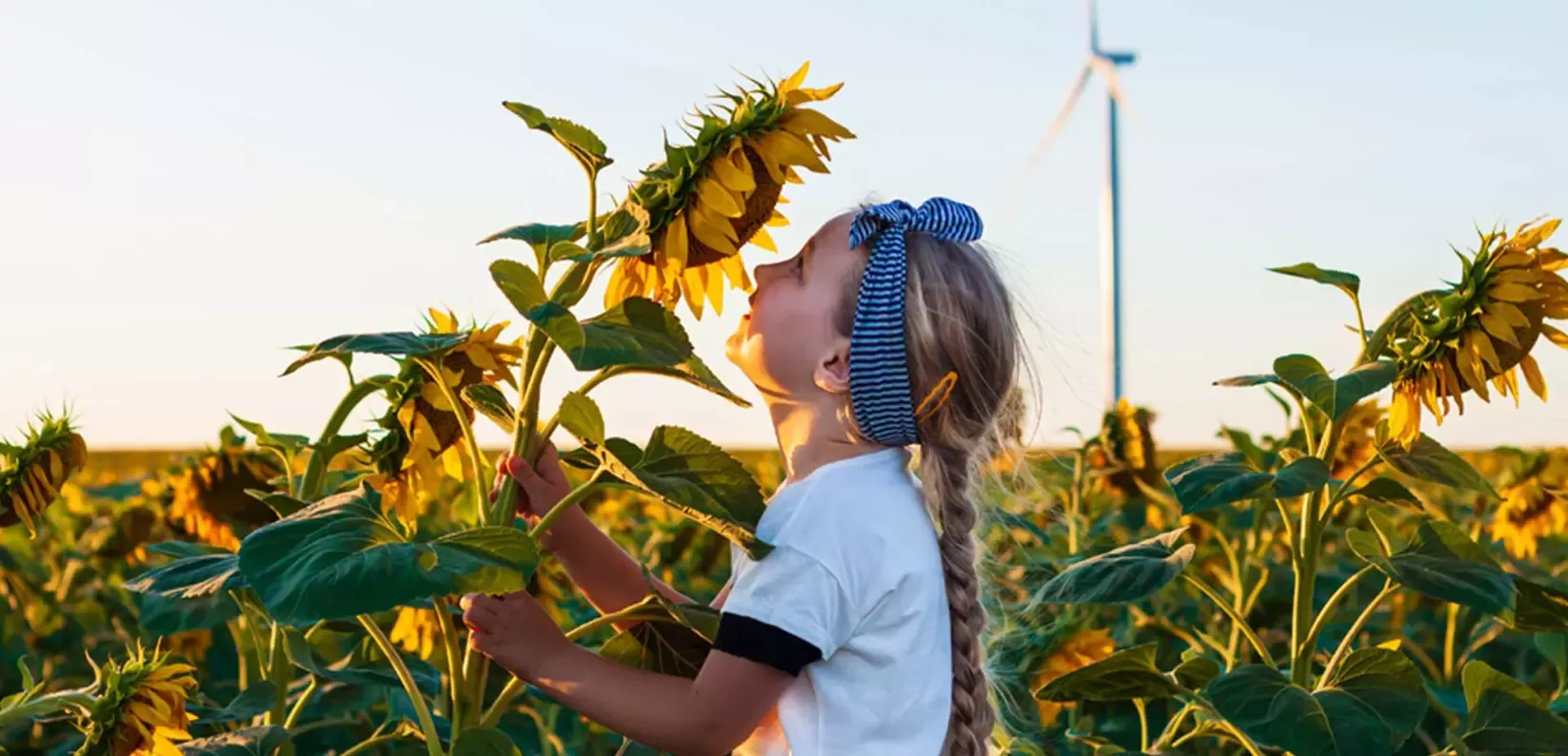 story-climate-change-big