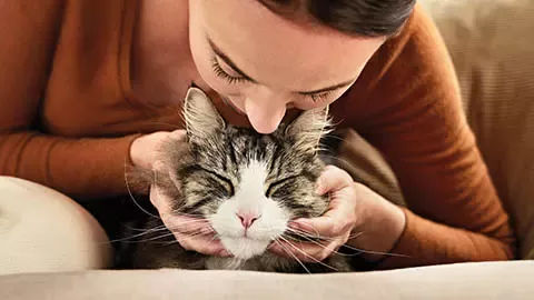 ピュリナ プロプラン 女性と猫