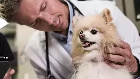 ピュリナ プロプラン ベテリナリーダイエット 犬