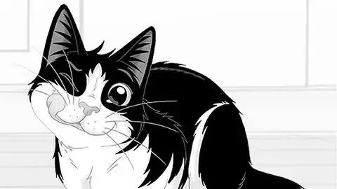 フィリックス キャット 1