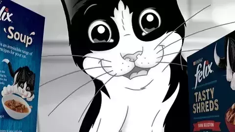 フィリックス キャット 1