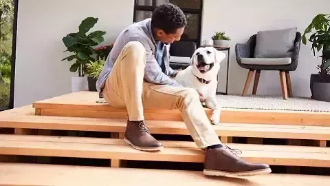 ピュリナ プロプラン ベテリナリーダイエット 犬