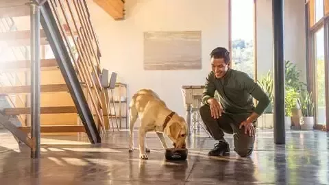 ピュリナ プロプラン 女性と猫