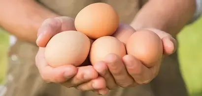 20171107-cagefreeeggs