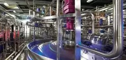 BCG, Ranking 2014