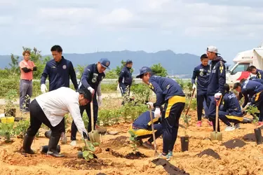 story-okinawa-banner