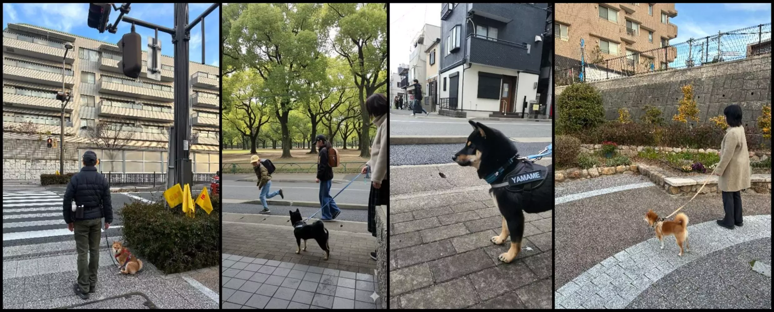 わんわん見守り隊プロジェクト トップ画像