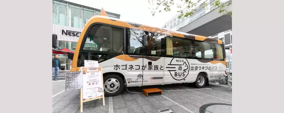 nestle purina cat bus