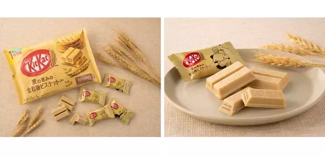 20210304_kitkat