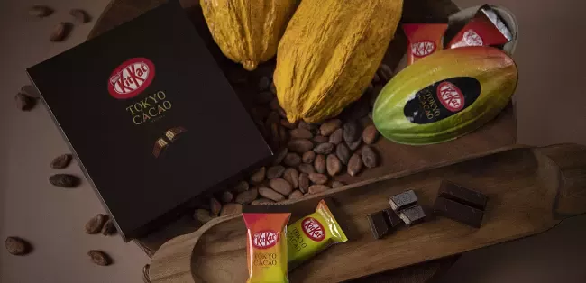 20221020_kitkat