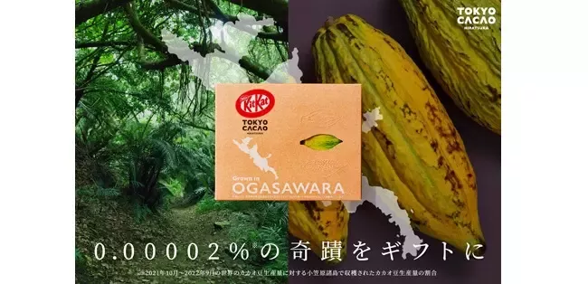 20231120_kitkat