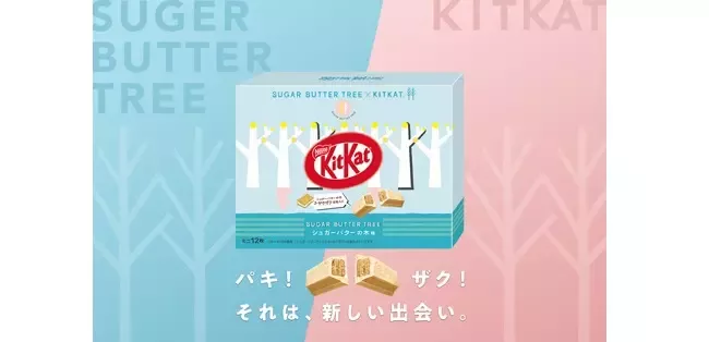 20231122_kitkat
