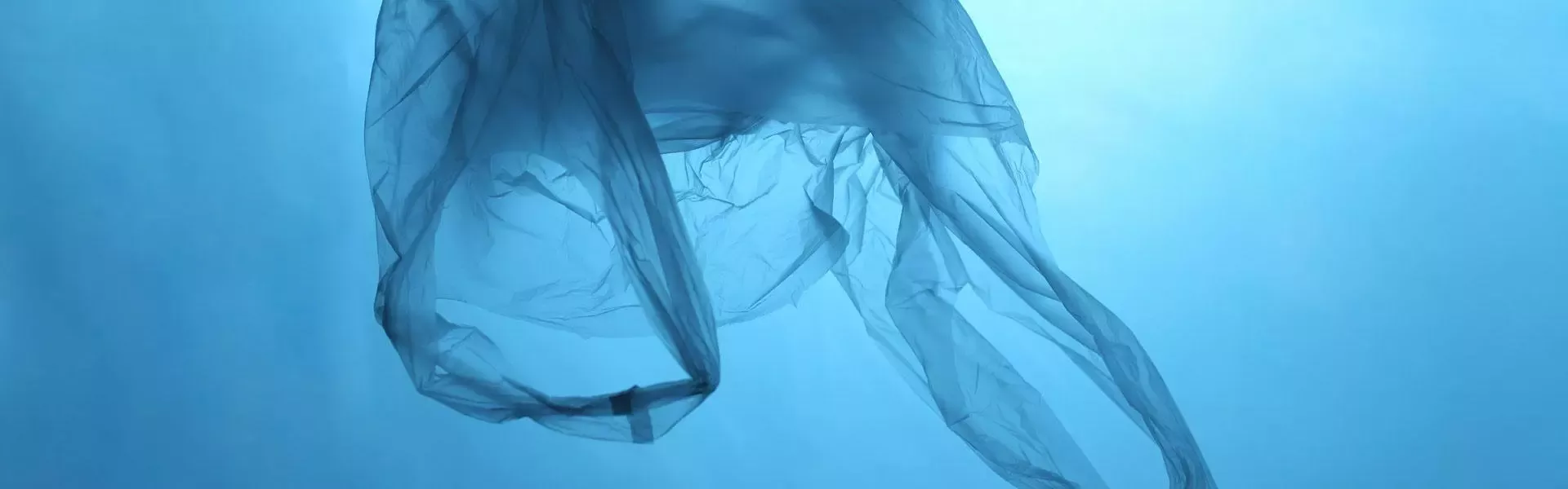plastic bag floating in sea