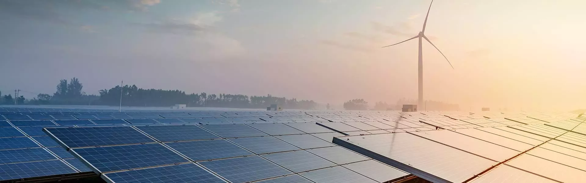 sustainability-climate-net-zero-article-header-fw