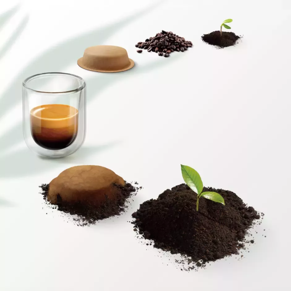 20250818_nescafe_1_3