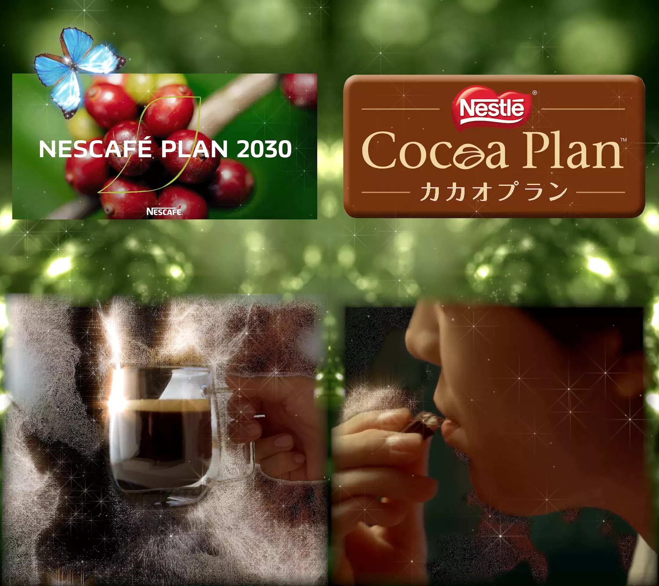 20250818_nestle_5