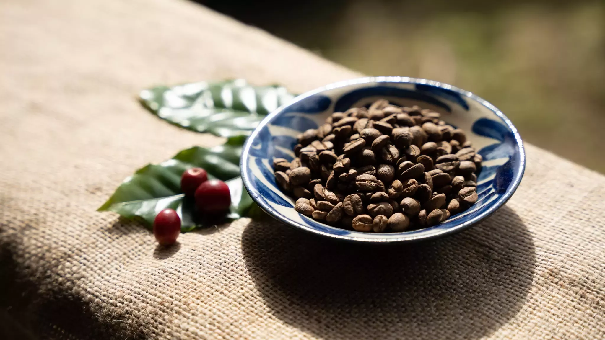 20250911_nescafe_11