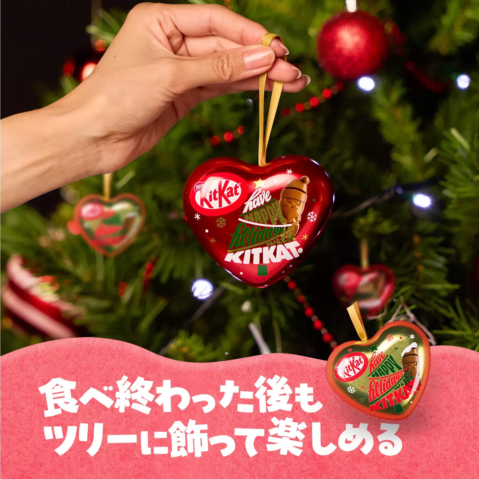 20251028_kitkat_9