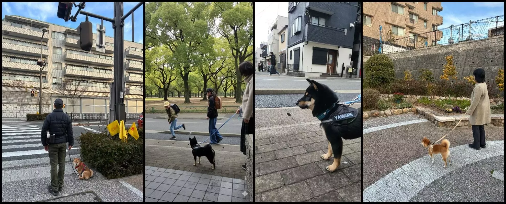 わんわん見守り隊プロジェクト トップ画像