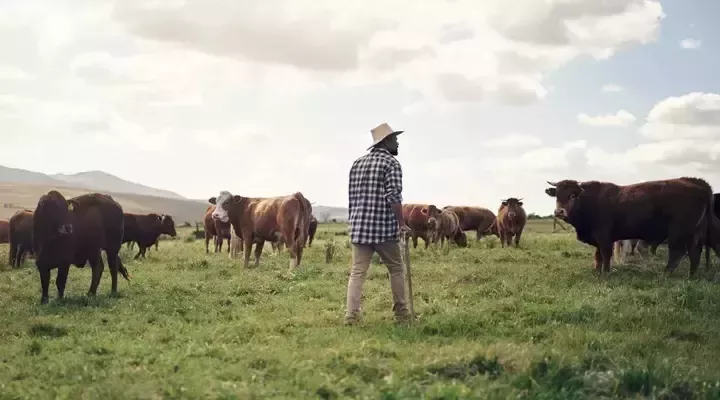 Farmer and his cows  グローバルな目標への貢献