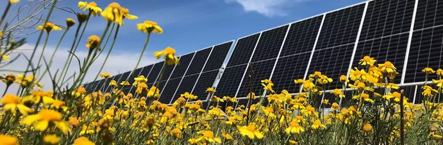 climate-change-banner