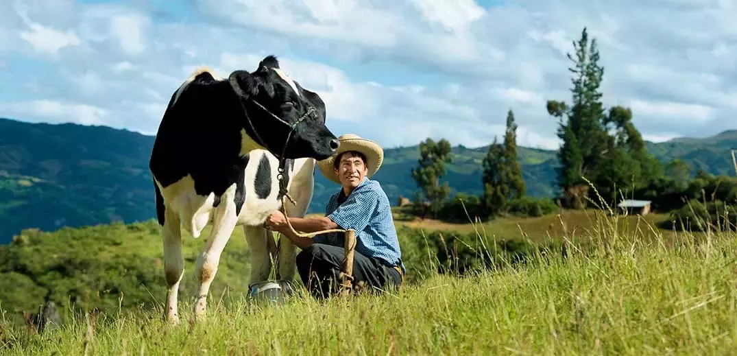 dairy-farmer-wide