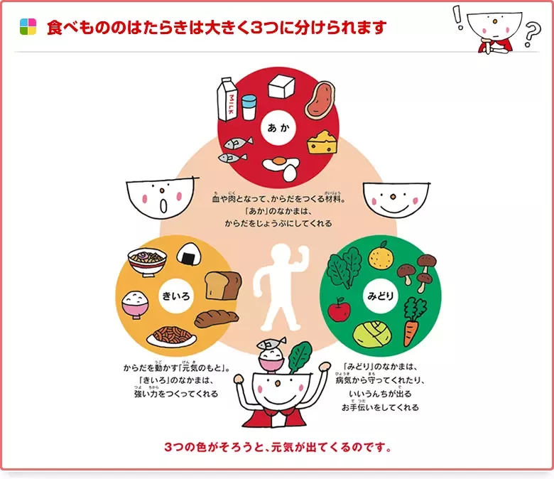 hk_ntrprg_illust_03