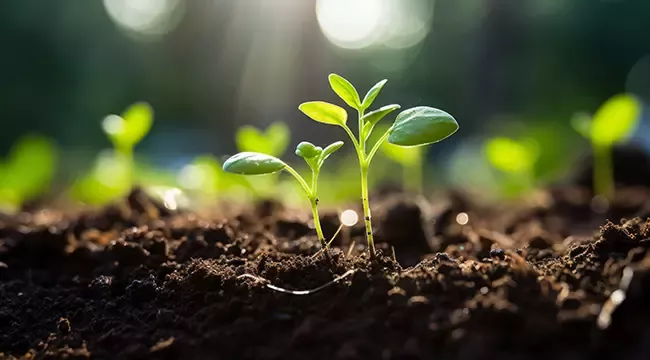 sdgs_environment_06
