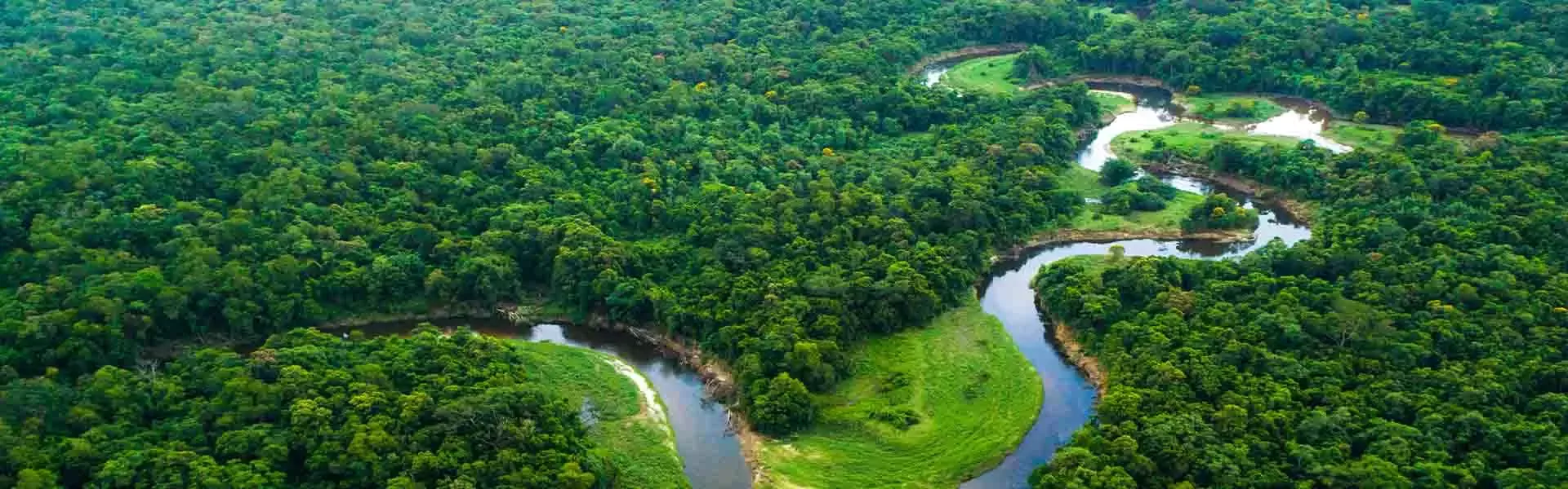 sustainability-climate-regenerative-agriculture-article-header-fw