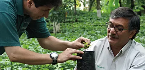 sustainability-raw-materials-coffee-development-wide