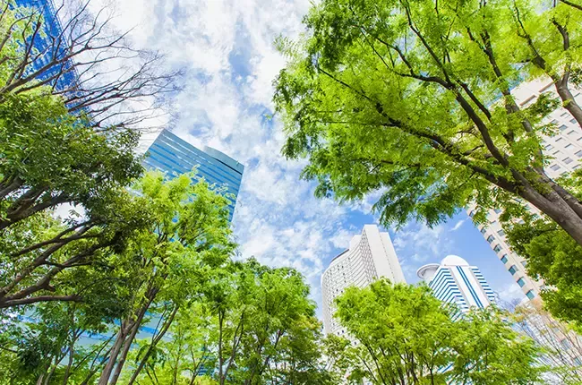 sustainability_3