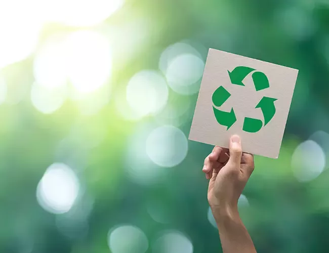 sustainability_products_03