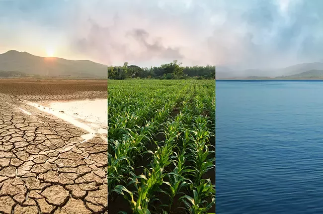 sustainability_sustainability_02