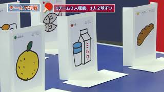 ヘルシーキッズ健康卓球3　まとあてピンポン